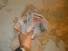 Экономисты обвиняют страны Еврозоны в нескоординированности действий