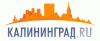 РФ предлагает ЕС возобновить выдачу калининградцам многократных шенгенских виз