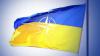НАТО будет тяжело принять решение по ПДЧ для Украины - посол США