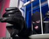 84-летний старик спас магазин от ограбления