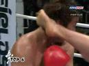 TOP 10 Нокауты 2007 по версии K1