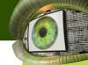 Учёные приблизились к созданию искусственного глаза | Бионика - новости
