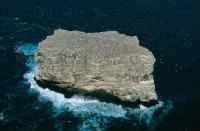 Птичий остров - людям тут не место!!!!