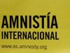Amnesty International назвала виновников конфликта на Кавказе