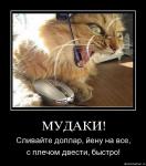 Сливайте доллар и йену