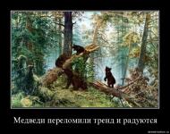 Медведи переломили тренд и радуются