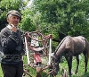 Велосипед, педали на котором должна крутить... лошадь