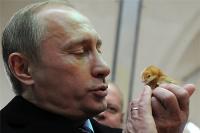 Путин и звери