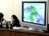 В пяти регионах России пройдет эксперимент по голосованию на выборах через Интернет и мобильники