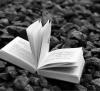 Книга уходит в «Нишу»: российское книгоиздание в постбестселлерную эпоху