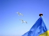 SUP доверил украинский трафик ЖЖ местному агентству