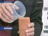 В России появятся два федеральных университета - своего рода прообраз высшей школы будущего