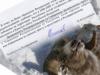 Росприроднадзор признал чиновников браконьерами!