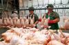 Продукция американского животноводства под запретом “Россельхознадзора”