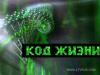 Канадские биохимики считают, что им удалось выделить код жизни, который состоит из 10 основных аминокислот