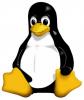 IDC: Мировой финансовый кризис полезен для Linux
