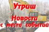 Не мычит, не телится. Трусливая тактика Департамента лесного хозяйства