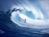 Google запускает новый сервис для общения и совместной работы Google Wave