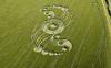 В Англии обнаружен новый рисунок на ячменном поле