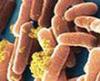 Ученые воскресили замороженных инопланетян