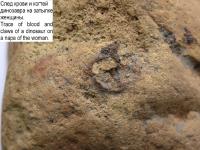 След крови и когтей динозавра на затылке погибшей женщины