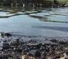 Авария на Волге: в реку попало большое количество нефти