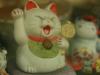 Ученые нашли у кошек и котов любимые лапы
