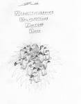 Иллюстрированная энциклопедия др.Хауса