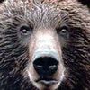 Райский сад, где Ева соблазнила Адама яблоками, был в Казахстане