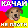 Статья "10 причин, почему мы воруем газ"