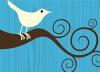 За год аудитория Twitter выросла более чем в 15 раз