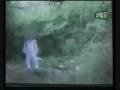 В Перу сняли на видео инопланетянина