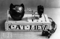 Cat-Mew Machine, 1963