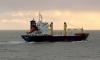 Похитители Arctic Sea пили водку и загорали с членами экипажа