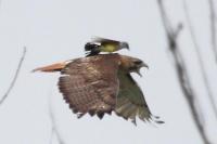 Чтобы это значило?