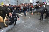 Протест против цен на молоко