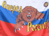 Россия представила заявку на чемпионат мира по футболу