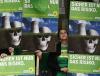 К 2020 году в Германии 50% энергии будет поступать из альтернативных источников