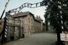 Лозунг Arbeit macht frei украли с ворот концлагеря Освенцим