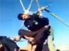 В Иране сняли на ВИДЕО, как толпа спасла из петли приговоренных к смерти грабителей