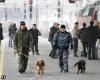 Петербургский судья задержан с десятью килограммами гашиша