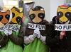 Израиль запретит ввоз, производство и экспорт изделий из меха любых животных