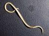 Жителей Гонконга заражаются глистами (Ascaris lumbricoides) для похудения