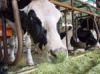 РФ ограничивает поставку продукции ряда предприятий Бразилии, США и ЕС