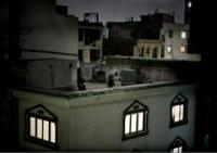 Выбрано фото года