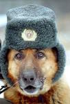 Наша служба и опасна и трудна