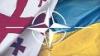 В НАТО не отказались от планов принятия Грузии и Украины в альянс.