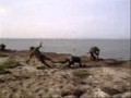 Древнее племя Гобустана