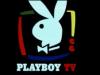 В США клипы Playboy показали на двух детских каналах