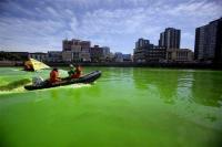 Аргентинский ньюсхантер покрасил реку в фирменные цвета news2